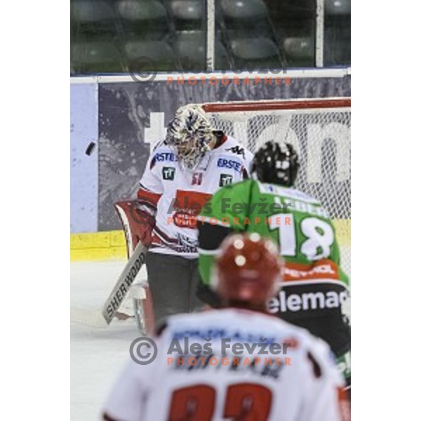 Rok Leber in action during ice hockey match of 6th round of EBEL League in Season 2014/15 between HDD Telemach Olimpija and HC TWK Innsbruck, played in Tivoli Hall, Ljubljana, Slovenia, on September 28, 2014