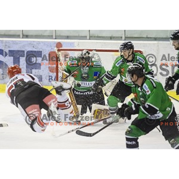 Action during ice hockey match of 6th round of EBEL League in Season 2014/15 between HDD Telemach Olimpija and HC TWK Innsbruck, played in Tivoli Hall, Ljubljana, Slovenia, on September 28, 2014