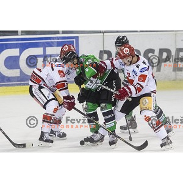Rok Leber in action during ice hockey match of 6th round of EBEL League in Season 2014/15 between HDD Telemach Olimpija and HC TWK Innsbruck, played in Tivoli Hall, Ljubljana, Slovenia, on September 28, 2014