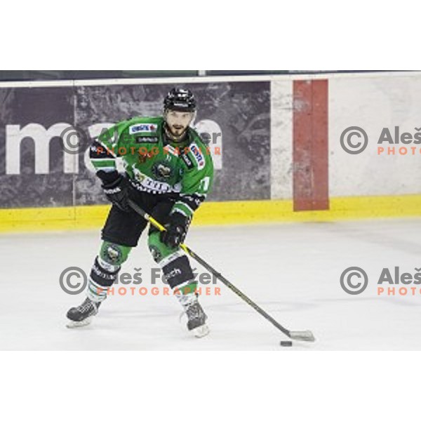 Ziga Pesut in action during ice hockey match of 6th round of EBEL League in Season 2014/15 between HDD Telemach Olimpija and HC TWK Innsbruck, played in Tivoli Hall, Ljubljana, Slovenia, on September 28, 2014