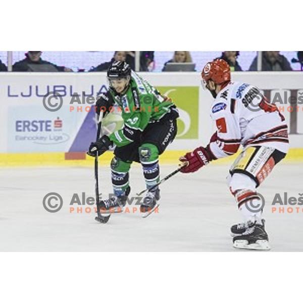 Gregor Koblar in action during ice hockey match of 6th round of EBEL League in Season 2014/15 between HDD Telemach Olimpija and HC TWK Innsbruck, played in Tivoli Hall, Ljubljana, Slovenia, on September 28, 2014
