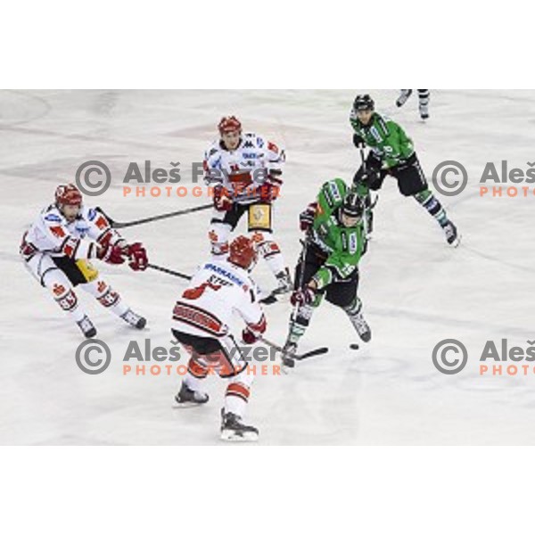 Gal Koren in action during ice hockey match of 6th round of EBEL League in Season 2014/15 between HDD Telemach Olimpija and HC TWK Innsbruck, played in Tivoli Hall, Ljubljana, Slovenia, on September 28, 2014