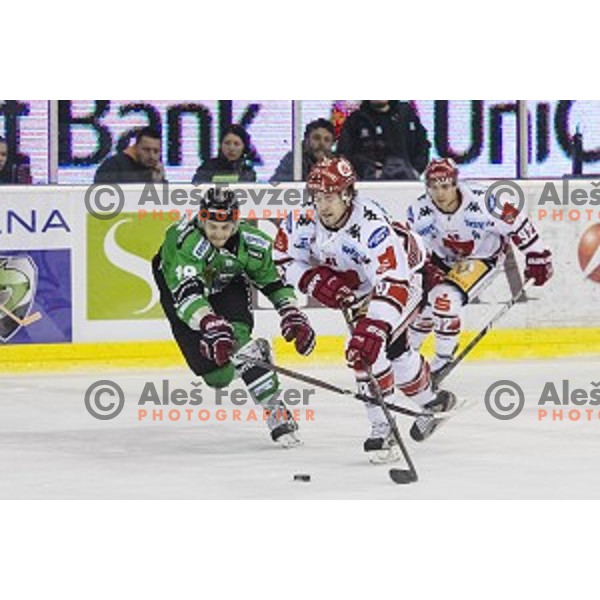 Gal Koren in action during ice hockey match of 6th round of EBEL League in Season 2014/15 between HDD Telemach Olimpija and HC TWK Innsbruck, played in Tivoli Hall, Ljubljana, Slovenia, on September 28, 2014