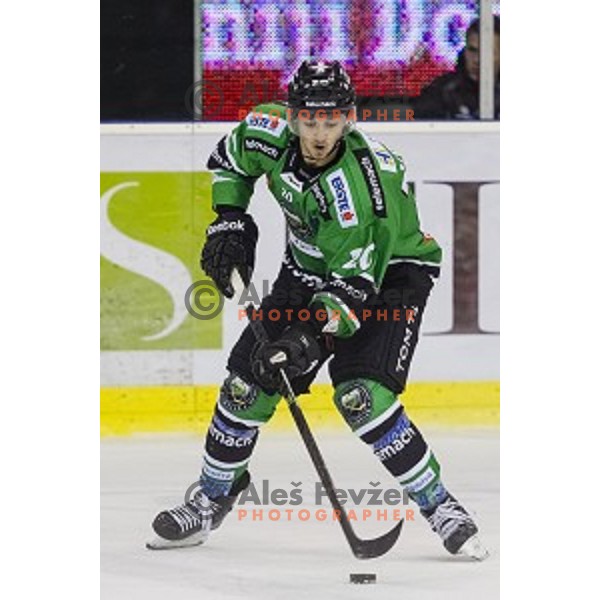 Gregor Koblar in action during ice hockey match of 6th round of EBEL League in Season 2014/15 between HDD Telemach Olimpija and HC TWK Innsbruck, played in Tivoli Hall, Ljubljana, Slovenia, on September 28, 2014