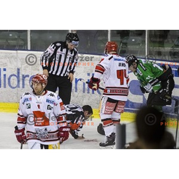 Injured referee during ice hockey match of 6th round of EBEL League in Season 2014/15 between HDD Telemach Olimpija and HC TWK Innsbruck, played in Tivoli Hall, Ljubljana, Slovenia, on September 28, 2014