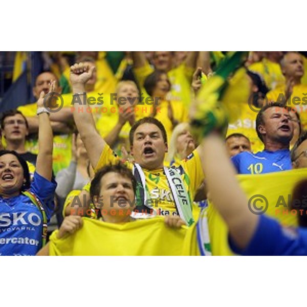 in action during handball match Celje Pivovarna Lasko-Vardar in EHF Men\'s Champions League, played in Zlatorog Hall, Celje, Slovenia on September 27,,2014