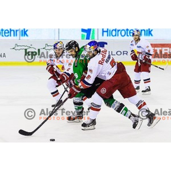 Gal Koren of Olimpija in action during ice hockey match of 10th round of EBEL League in Season 2014/15 between HDD Telemach Olimpija and EC Red Bull Salzburg, played in Tivoli Hall, Ljubljana, Slovenia, on October 12, 2014