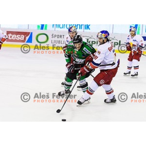 Gal Koren of Olimpija in action during ice hockey match of 10th round of EBEL League in Season 2014/15 between HDD Telemach Olimpija and EC Red Bull Salzburg, played in Tivoli Hall, Ljubljana, Slovenia, on October 12, 2014