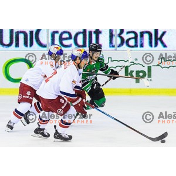 Hunter Bishop of Olimpija in action during ice hockey match of 10th round of EBEL League in Season 2014/15 between HDD Telemach Olimpija and EC Red Bull Salzburg, played in Tivoli Hall, Ljubljana, Slovenia, on October 12, 2014