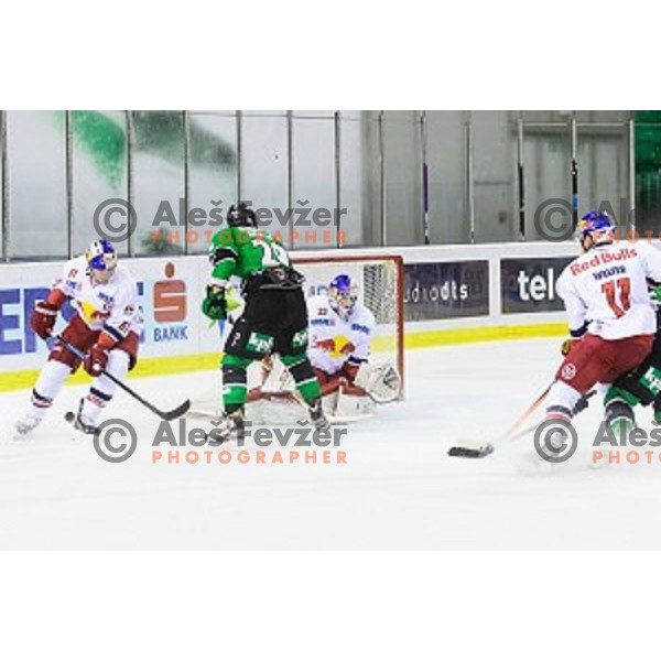 Anze Ropret of Olimpija in action during ice hockey match of 10th round of EBEL League in Season 2014/15 between HDD Telemach Olimpija and EC Red Bull Salzburg, played in Tivoli Hall, Ljubljana, Slovenia, on October 12, 2014