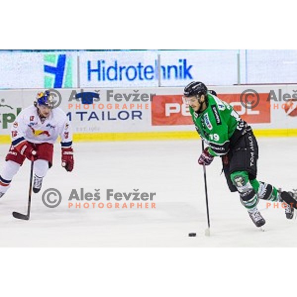 Alexander Cijanof Salzburg and Gal Koren of Olimpija in action during ice hockey match of 10th round of EBEL League in Season 2014/15 between HDD Telemach Olimpija and EC Red Bull Salzburg, played in Tivoli Hall, Ljubljana, Slovenia, on October 12, 2014