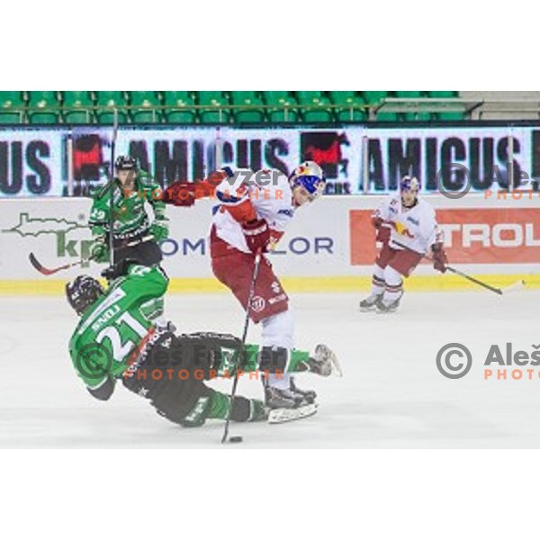 Tadej Snoj of Olimpija in action during ice hockey match of 10th round of EBEL League in Season 2014/15 between HDD Telemach Olimpija and EC Red Bull Salzburg, played in Tivoli Hall, Ljubljana, Slovenia, on October 12, 2014