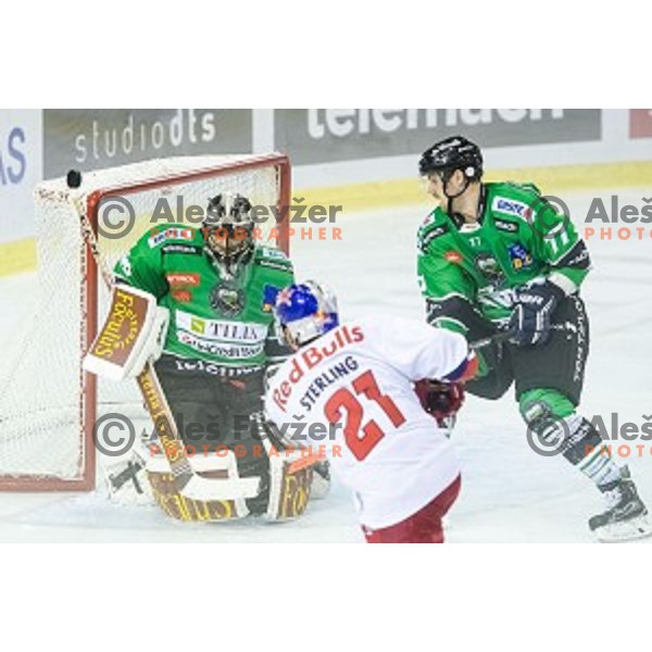 Brett Sterling of Salzburg, Andy Chiodo Ivan Sijan of Olimpija in action during ice hockey match of 10th round of EBEL League in Season 2014/15 between HDD Telemach Olimpija and EC Red Bull Salzburg, played in Tivoli Hall, Ljubljana, Slovenia, on October 12, 2014