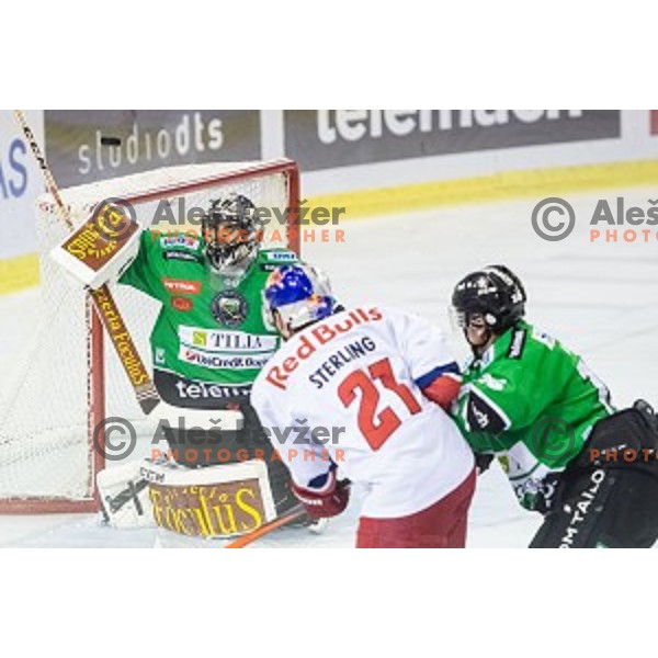 Andy Chiodo of Olimpija in action during ice hockey match of 10th round of EBEL League in Season 2014/15 between HDD Telemach Olimpija and EC Red Bull Salzburg, played in Tivoli Hall, Ljubljana, Slovenia, on October 12, 2014