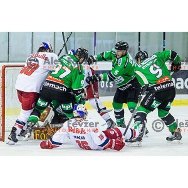 Action during ice hockey match of 10th round of EBEL League in Season 2014/15 between HDD Telemach Olimpija and EC Red Bull Salzburg, played in Tivoli Hall, Ljubljana, Slovenia, on October 12, 2014