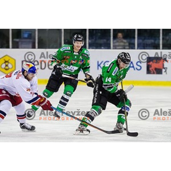 Bostjan Groznik and Matej Hocevar of Olimpija in action during ice hockey match of 10th round of EBEL League in Season 2014/15 between HDD Telemach Olimpija and EC Red Bull Salzburg, played in Tivoli Hall, Ljubljana, Slovenia, on October 12, 2014
