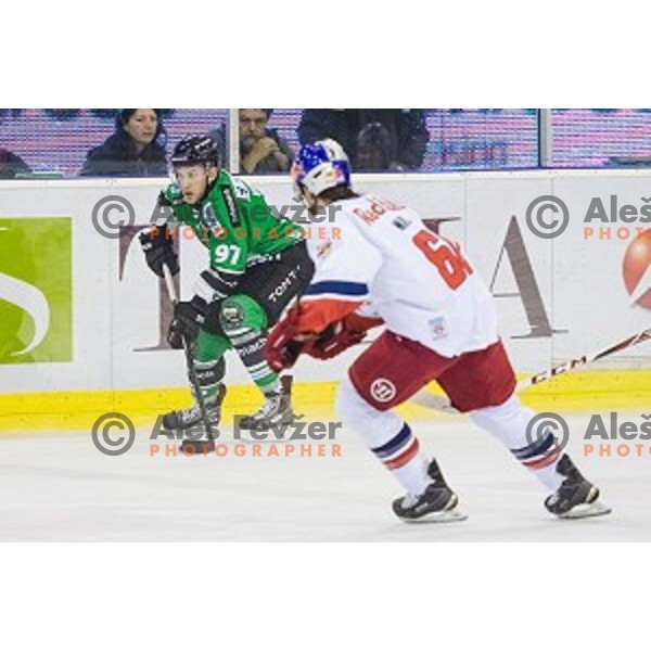 Matt White of Olimpija in action during ice hockey match of 10th round of EBEL League in Season 2014/15 between HDD Telemach Olimpija and EC Red Bull Salzburg, played in Tivoli Hall, Ljubljana, Slovenia, on October 12, 2014
