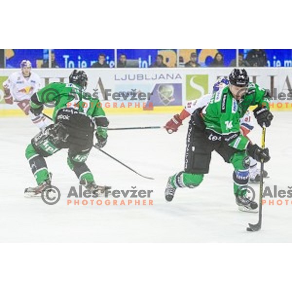 Tadej Snoj and Matej Hocevar of Olimpija in action during ice hockey match of 10th round of EBEL League in Season 2014/15 between HDD Telemach Olimpija and EC Red Bull Salzburg, played in Tivoli Hall, Ljubljana, Slovenia, on October 12, 2014
