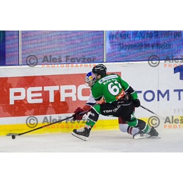Luka Kalan of Olimpija in action during ice hockey match of 10th round of EBEL League in Season 2014/15 between HDD Telemach Olimpija and EC Red Bull Salzburg, played in Tivoli Hall, Ljubljana, Slovenia, on October 12, 2014