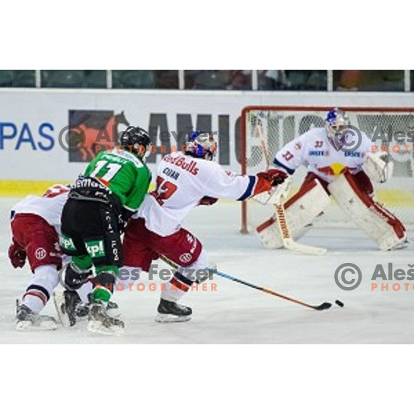 Ziga Pesut of Olimpija in action during ice hockey match of 10th round of EBEL League in Season 2014/15 between HDD Telemach Olimpija and EC Red Bull Salzburg, played in Tivoli Hall, Ljubljana, Slovenia, on October 12, 2014