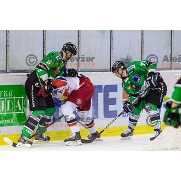 Bostjan Groznik and Ivan Sijan of Olimpija in action during ice hockey match of 10th round of EBEL League in Season 2014/15 between HDD Telemach Olimpija and EC Red Bull Salzburg, played in Tivoli Hall, Ljubljana, Slovenia, on October 12, 2014