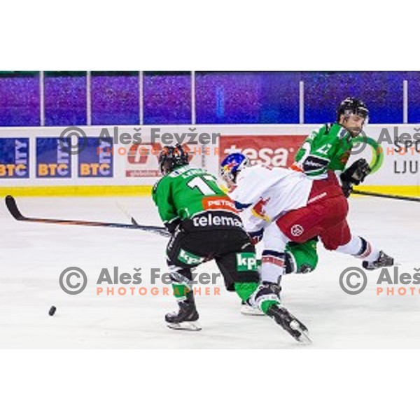 Miha Logar of Olimpija in action during ice hockey match of 10th round of EBEL League in Season 2014/15 between HDD Telemach Olimpija and EC Red Bull Salzburg, played in Tivoli Hall, Ljubljana, Slovenia, on October 12, 2014