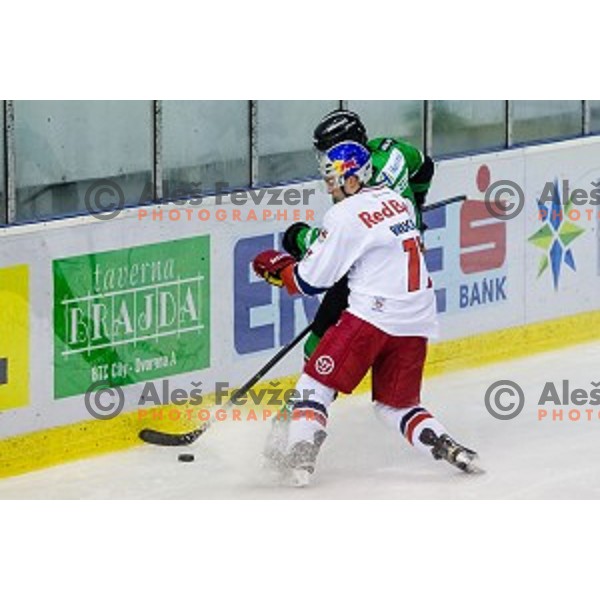 Action during ice hockey match of 10th round of EBEL League in Season 2014/15 between HDD Telemach Olimpija and EC Red Bull Salzburg, played in Tivoli Hall, Ljubljana, Slovenia, on October 12, 2014