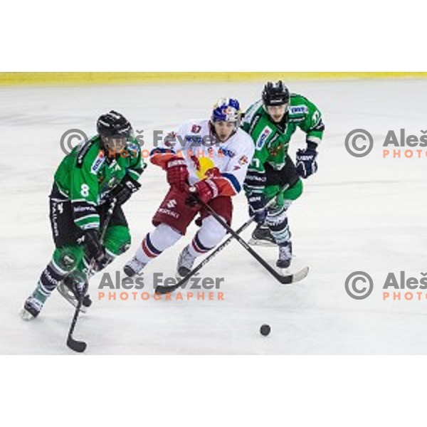 Marvin Degon and Ivan Sijan of Olimpija and Konstantin Komarek of Salzburg in action during ice hockey match of 10th round of EBEL League in Season 2014/15 between HDD Telemach Olimpija and EC Red Bull Salzburg, played in Tivoli Hall, Ljubljana, Slovenia, on October 12, 2014