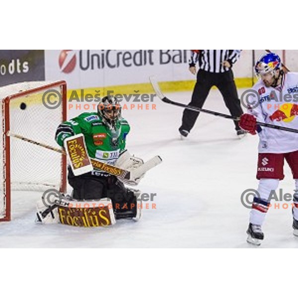 Andy Chiodo of Olimpija and Troy Milam of Salzburg in action during ice hockey match of 10th round of EBEL League in Season 2014/15 between HDD Telemach Olimpija and EC Red Bull Salzburg, played in Tivoli Hall, Ljubljana, Slovenia, on October 12, 2014