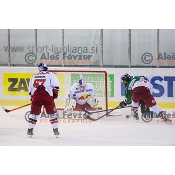 Action during ice hockey match of 10th round of EBEL League in Season 2014/15 between HDD Telemach Olimpija and EC Red Bull Salzburg, played in Tivoli Hall, Ljubljana, Slovenia, on October 12, 2014