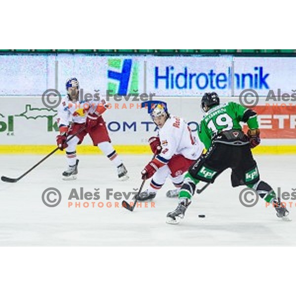 Kyle Beach, Brian Fahey of Salzburg and Gal Koren of Olimpija in action during ice hockey match of 10th round of EBEL League in Season 2014/15 between HDD Telemach Olimpija and EC Red Bull Salzburg, played in Tivoli Hall, Ljubljana, Slovenia, on October 12, 2014
