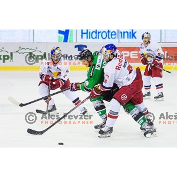 Gal Koren of Olimpija in action during ice hockey match of 10th round of EBEL League in Season 2014/15 between HDD Telemach Olimpija and EC Red Bull Salzburg, played in Tivoli Hall, Ljubljana, Slovenia, on October 12, 2014