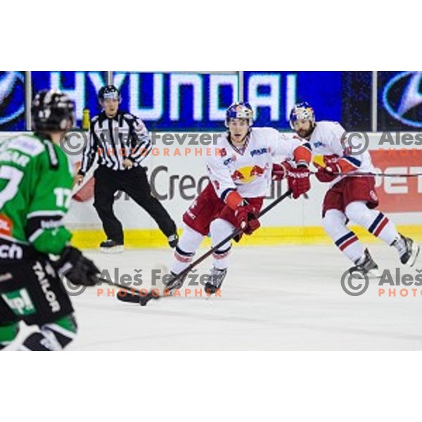 Kyle Beach of Salzburg in action during ice hockey match of 10th round of EBEL League in Season 2014/15 between HDD Telemach Olimpija and EC Red Bull Salzburg, played in Tivoli Hall, Ljubljana, Slovenia, on October 12, 2014