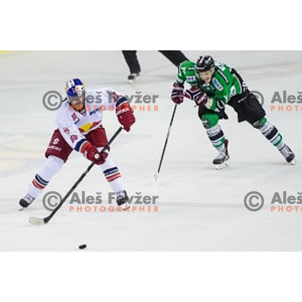 Troy Milam of Salzburg and Gal Koren of Olimpija in action during ice hockey match of 10th round of EBEL League in Season 2014/15 between HDD Telemach Olimpija and EC Red Bull Salzburg, played in Tivoli Hall, Ljubljana, Slovenia, on October 12, 2014