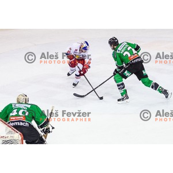 Andy Chiodo, Kyle Medvec of Olimpija and Daniel Welser of Salzburg in action during ice hockey match of 10th round of EBEL League in Season 2014/15 between HDD Telemach Olimpija and EC Red Bull Salzburg, played in Tivoli Hall, Ljubljana, Slovenia, on October 12, 2014