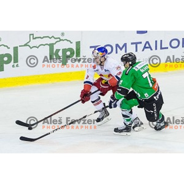 Kyle Beach of Salzburg and Ivan Sijan of Olimpija in action during ice hockey match of 10th round of EBEL League in Season 2014/15 between HDD Telemach Olimpija and EC Red Bull Salzburg, played in Tivoli Hall, Ljubljana, Slovenia, on October 12, 2014