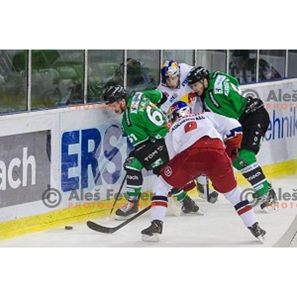 Luka Kalan and Bostjan Groznik of Olimpija in action during ice hockey match of 10th round of EBEL League in Season 2014/15 between HDD Telemach Olimpija and EC Red Bull Salzburg, played in Tivoli Hall, Ljubljana, Slovenia, on October 12, 2014