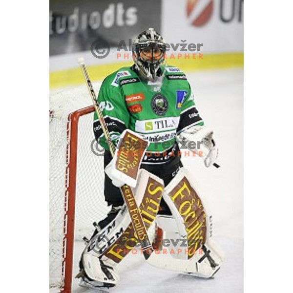 of Olimpija in action during round 11 of EBEL League Season 2014/15 between HDD Telemach Olimpija and Black Wings Linz, played in Tivoli Hall, Ljubljana, Slovenia, on October 14, 2014