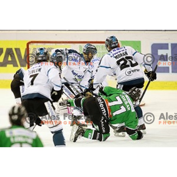 of Olimpija in action during round 11 of EBEL League Season 2014/15 between HDD Telemach Olimpija and Black Wings Linz, played in Tivoli Hall, Ljubljana, Slovenia, on October 14, 2014