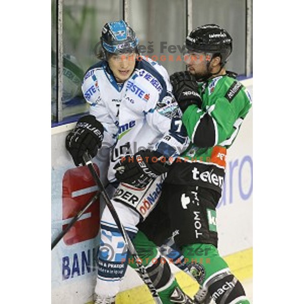 of Olimpija in action during round 11 of EBEL League Season 2014/15 between HDD Telemach Olimpija and Black Wings Linz, played in Tivoli Hall, Ljubljana, Slovenia, on October 14, 2014