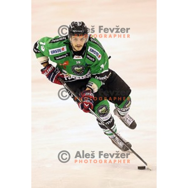 of Telemach Olimpija in action during round 11 of EBEL League Season 2014/15 between HDD Telemach Olimpija and Black Wings Linz, played in Tivoli Hall, Ljubljana, Slovenia on October 14, 2014