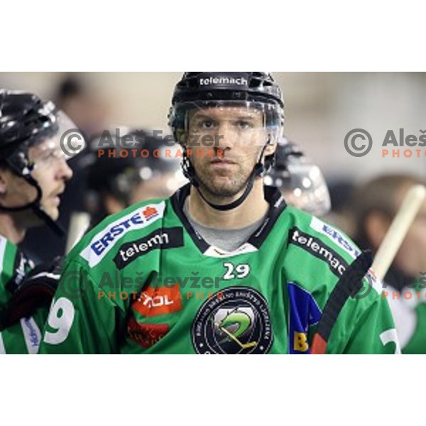 of Telemach Olimpija in action during round 11 of EBEL League Season 2014/15 between HDD Telemach Olimpija and Black Wings Linz, played in Tivoli Hall, Ljubljana, Slovenia on October 14, 2014