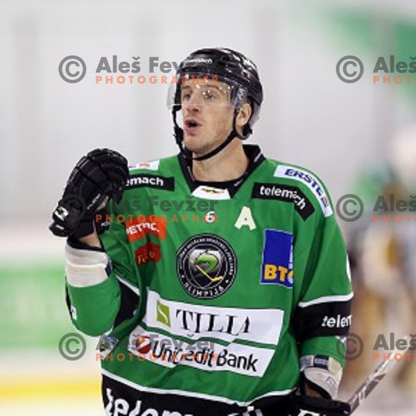of Telemach Olimpija in action during round 11 of EBEL League Season 2014/15 between HDD Telemach Olimpija and Black Wings Linz, played in Tivoli Hall, Ljubljana, Slovenia on October 14, 2014