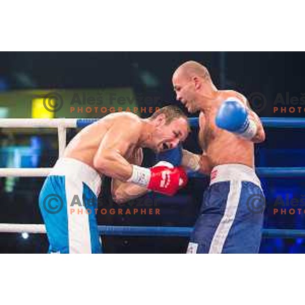 Dejan Zavec fights with Ferenc Hafner for a european champion title, first class boxing, Tabor Hall, Maribor, 17.10.2014