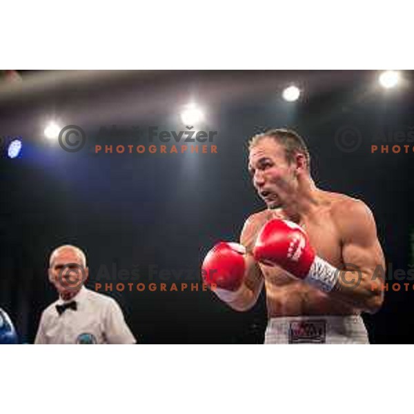 Dejan Zavec fights with Ferenc Hafner for a european champion title, first class boxing, Tabor Hall, Maribor, 17.10.2014