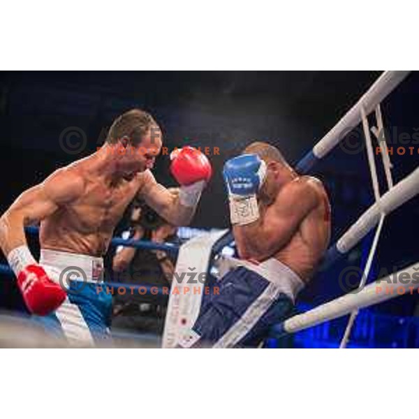 Dejan Zavec fights with Ferenc Hafner for a european champion title, first class boxing, Tabor Hall, Maribor, 17.10.2014
