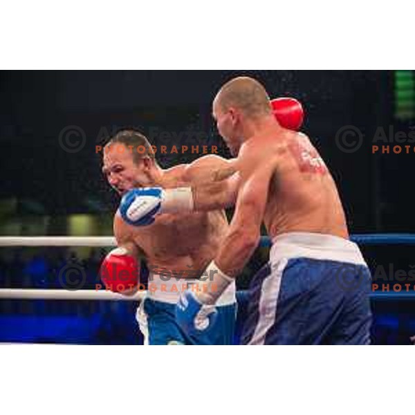 Dejan Zavec fights with Ferenc Hafner for a european champion title, first class boxing, Tabor Hall, Maribor, 17.10.2014