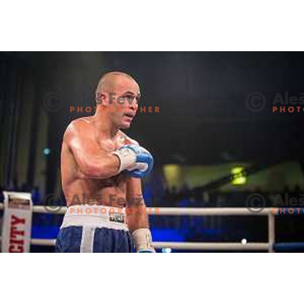 Dejan Zavec fights with Ferenc Hafner for a european champion title, first class boxing, Tabor Hall, Maribor, 17.10.2014