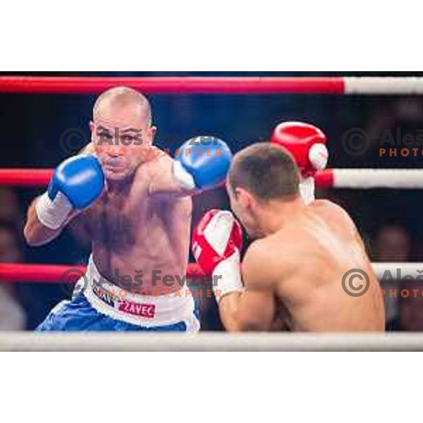 Dejan Zavec fights with Ferenc Hafner for a european champion title, first class boxing, Tabor Hall, Maribor, 17.10.2014