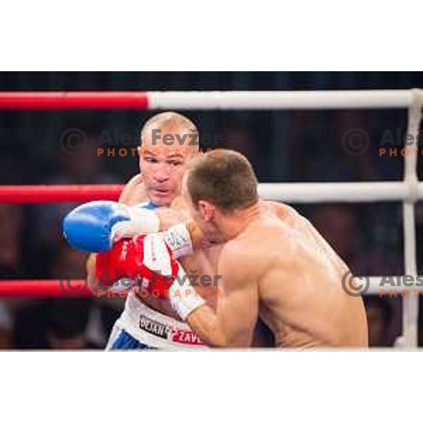 Dejan Zavec fights with Ferenc Hafner for a european champion title, first class boxing, Tabor Hall, Maribor, 17.10.2014